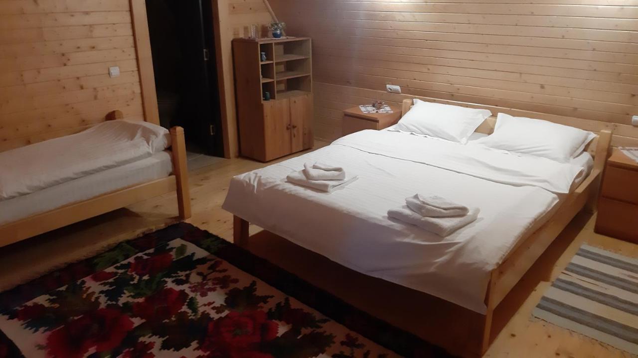 Casa Buga Ξενοδοχείο Vişeu de Sus Εξωτερικό φωτογραφία